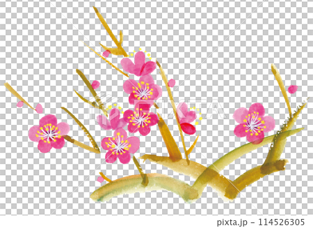 水彩手繪插畫紅梅花枝 水彩手繪插畫紅梅花枝 114526305