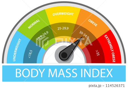 Body Mass Index Gauge Illustration 114526371