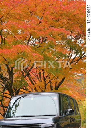名栗湖の紅葉と車 名栗湖の紅葉と車 114526470