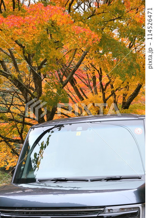 名栗湖の紅葉と車 114526471
