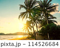 Tropical beach in Thailand. Palm trees on sandy island in the ocean. 114526684