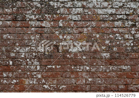 Red Brick Wall Texture Background with Abstract Patterns Red Brick Wall Texture Background with Abstract Patterns 114526779