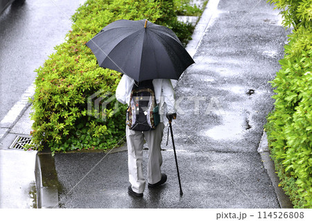 日本の横浜都市景観 高齢化社会。雨の中を歩く杖の高齢男性…=横浜市内 日本の横浜都市景観 高齢化社会。雨の中を歩く杖の高齢男性…=横浜市内 114526808