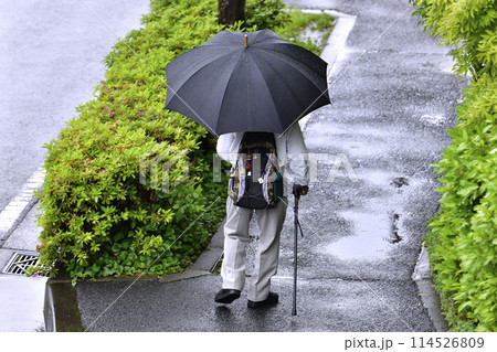 日本の横浜都市景観　高齢化社会。雨の中を歩く杖の高齢男性…＝横浜市内 114526809