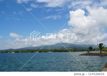 タヒチ島の風景 114526810