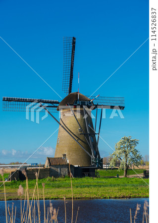 オランダ キンデルダイク= エルスハウトの風車網 オランダ キンデルダイク= エルスハウトの風車網 114526837