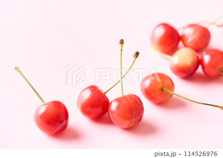 さくらんぼ　山形県産佐藤錦 114526976