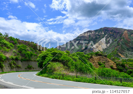 阿蘇パノラマラインから観える新緑に映える阿蘇の山麓風景 (阿蘇火口への道) 阿蘇パノラマラインから観える新緑に映える阿蘇の山麓風景 (阿蘇火口への道) 114527057