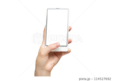 Mockup of female hand holding modern frameless cell phone with white screen isolated at white background. 114527692