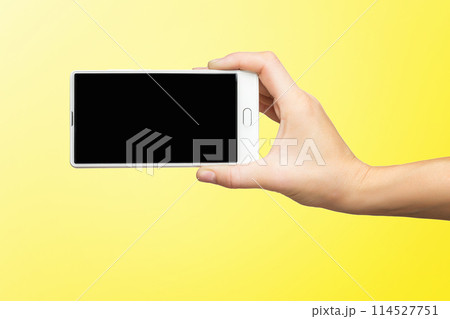 Female hands holding modern mobile phone 114527751