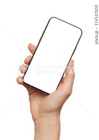 Female hands holding modern mobile phone 114527830