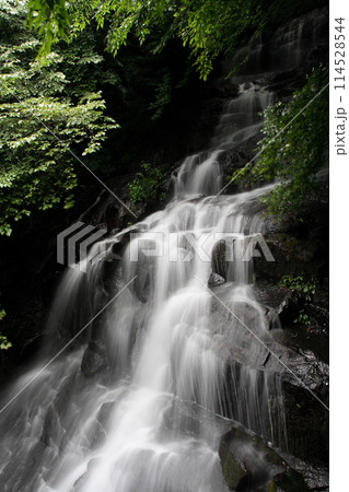 愛媛県東温市井内の御来光の滝 愛媛県東温市井内の御来光の滝 114528544