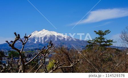 藤田記念庭園より望む岩木山　青森県　 114529376