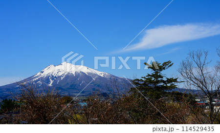 藤田記念庭園より望む岩木山　青森県　 114529435