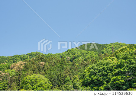 新緑の笠置の山並み 京都府笠置町 新緑の笠置の山並み 京都府笠置町 114529630