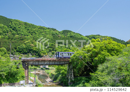 関西線の鉄橋を渡るディーゼルカー　京都府笠置町 114529642