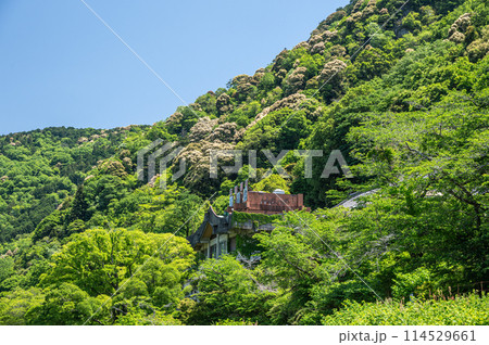 新緑の笠置の山並み　京都府笠置町 114529661