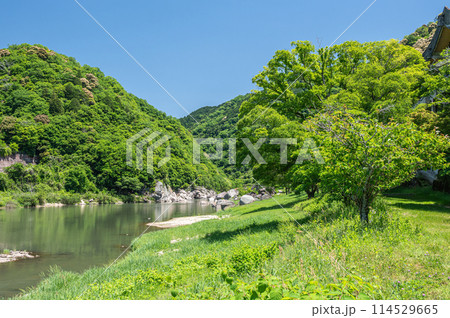 新緑の木津川風景 京都府笠置町 新緑の木津川風景 京都府笠置町 114529665