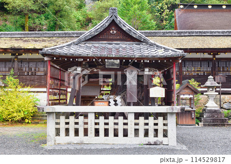 京都 松尾大社 相生の松(京都府京都市西京区) 京都 松尾大社 相生の松(京都府京都市西京区) 114529817