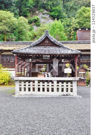 京都　松尾大社　相生の松（京都府京都市西京区） 114529837