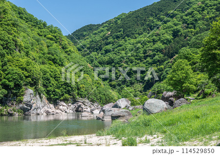 新緑の木津川風景　京都府笠置町 114529850