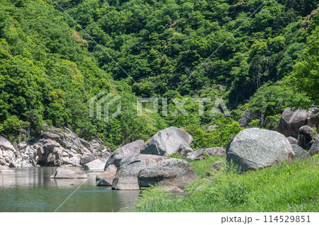 新緑の木津川風景　笠置ボルダー　京都府笠置町 114529851