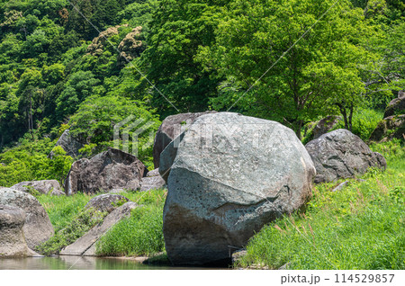新緑の木津川風景　笠置ボルダー　京都府笠置町 114529857
