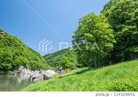 新緑の木津川風景　笠置ボルダー　京都府笠置町 114529858