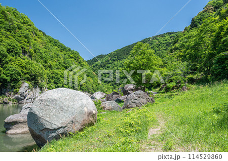 新緑の木津川風景　笠置ボルダー　京都府笠置町 114529860