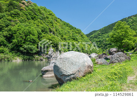 新緑の木津川風景　笠置ボルダー　京都府笠置町 114529861