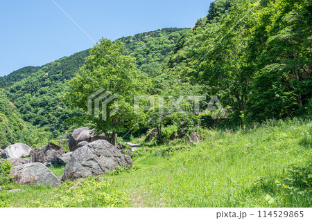 新緑の木津川風景 笠置ボルダー 京都府笠置町 新緑の木津川風景 笠置ボルダー 京都府笠置町 114529865