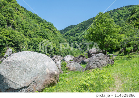 新緑の木津川風景　笠置ボルダー　京都府笠置町 114529866