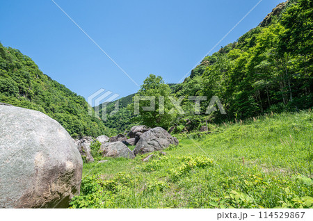 新緑の木津川風景　笠置ボルダー　京都府笠置町 114529867