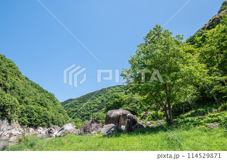 新緑の木津川風景 笠置ボルダー 京都府笠置町 新緑の木津川風景 笠置ボルダー 京都府笠置町 114529871