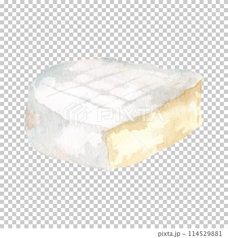 Cheese camamber brie. Hand drawn watercolor illustration isolated on white background. side view. For restaurant menu, cafe, design, recipe, book 114529881
