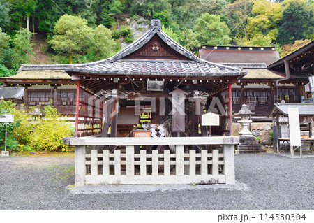 京都 松尾大社 相生の松(京都府京都市西京区) 京都 松尾大社 相生の松(京都府京都市西京区) 114530304