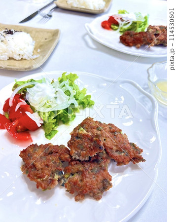 美味しそうなタラノメと、コシアブラの手作りハンバーグ 114530601