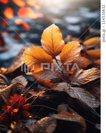Beautiful fallen yellow leaves in raindrops on a ground in autumn, vertical image, selective focus. 114530632