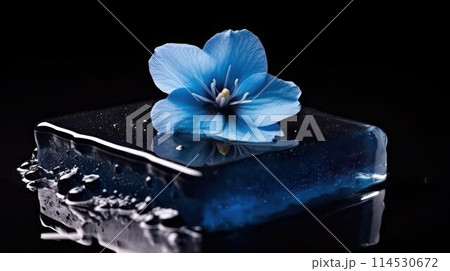 Blue clean natural herbal soap with beautiful blue flower on a wet shiny black surface, close-up, selective focus. 114530672