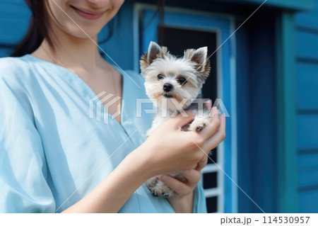 Veterinarian, Veterinary clinic, animal treatment, caring for friends, therapy for quadrupeds, dog cat, compassionate care, expert care for furry friends, ensuring their health and well-being. 114530957