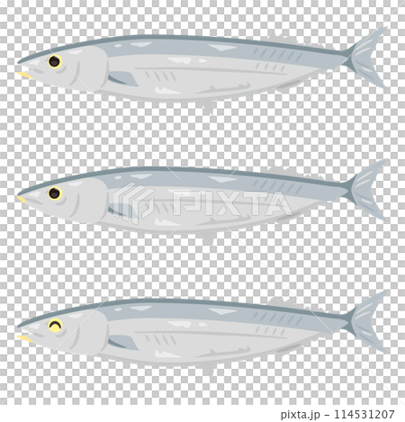 色々な表情のサンマ 114531207