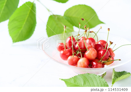 グラスの器に入ったさくらんぼ　山形県産佐藤錦 114531409