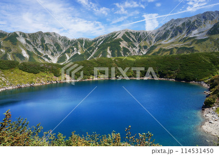 澄んだ青色の立山の風景（みくりが池） 114531450