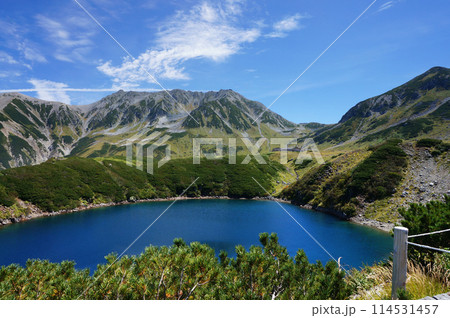 澄んだ青色の立山の風景（みくりが池） 114531457