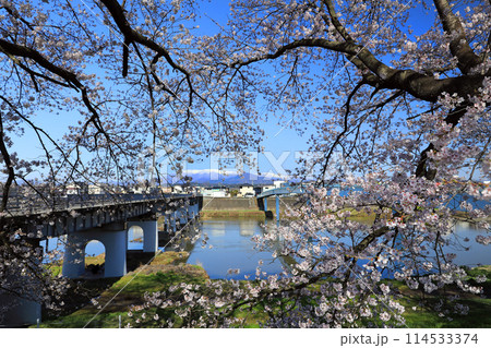 白石川一目千本桜と柴田町千桜公園 114533374