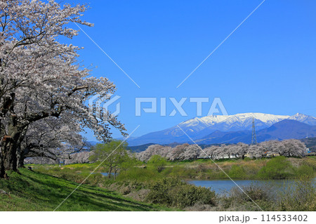 白石川一目千本桜と柴田町千桜公園 114533402