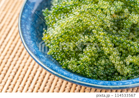 海ぶどう 114533567