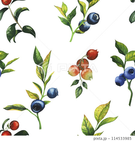 Watercolor seamless pattern with hand drawn cowberry and blueberry with berries, leaves, branches. Botanical forest berry illustration on white isolated background. Good for wrapping paper, textile, 114533985