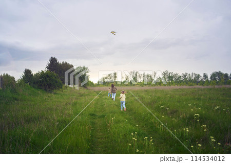 two little sisters and mother run and launch a kite in a field 114534012