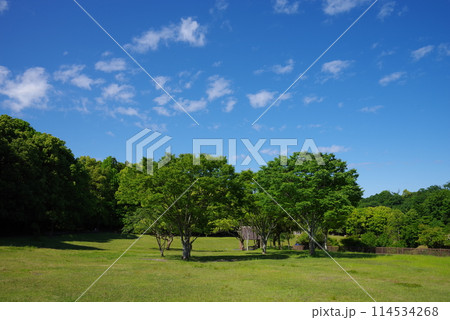鮮やかな新緑の公園「四日市南部丘陵公園・南ゾーン」 鮮やかな新緑の公園「四日市南部丘陵公園・南ゾーン」 114534268